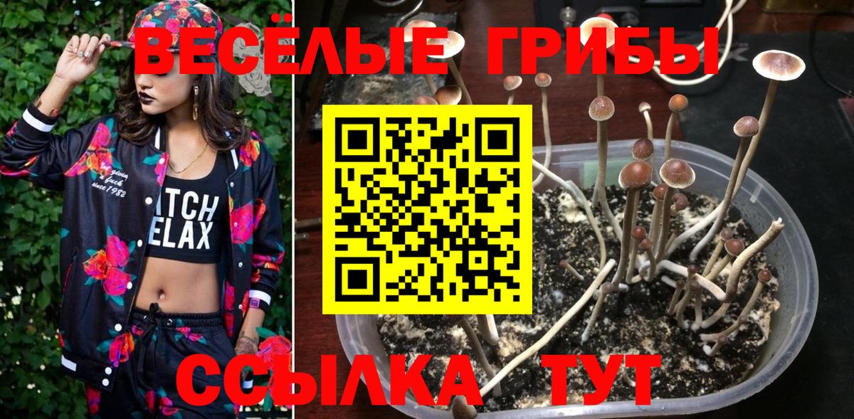 Галлюциногенные грибы мухоморы Тимашёвск
